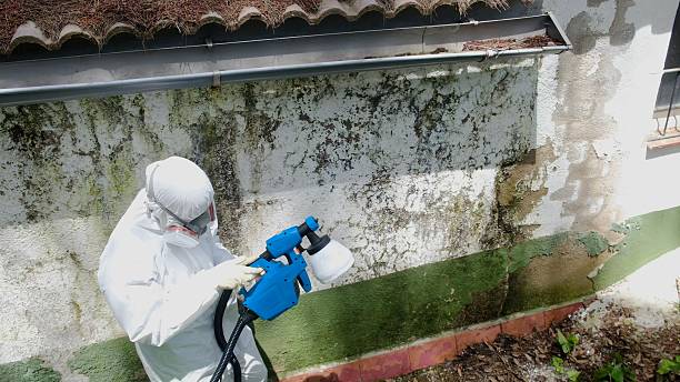 Top rated local Attic Mold Remediation specialists in Port Tobacco, MD